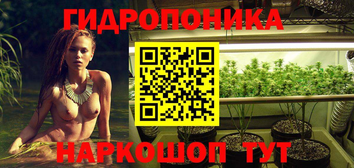 МАРИХУАНА сатива  Конопля Amnesia  Удомля  Вход с VPN 